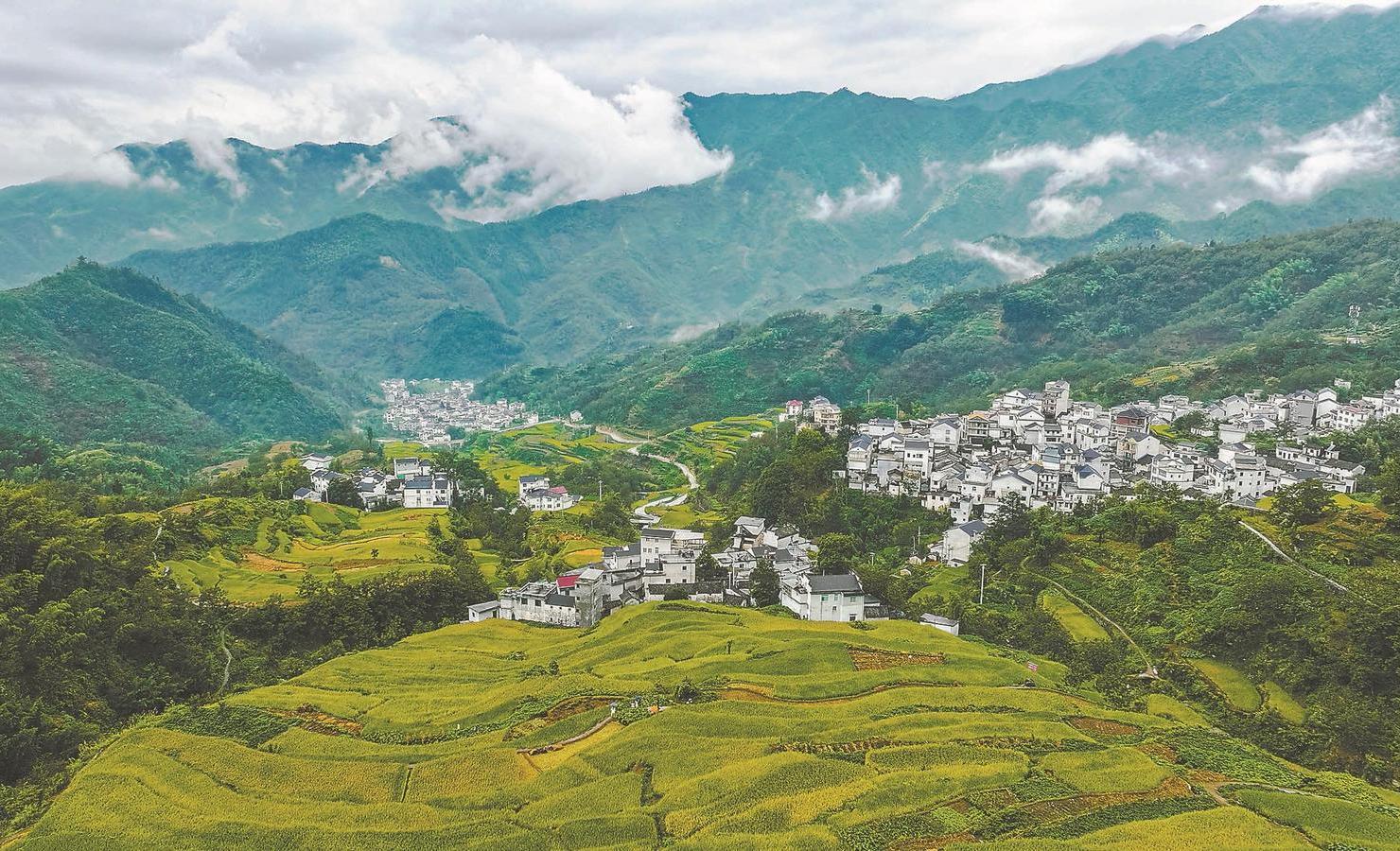 安徽小巷探秘,探寻隐秘美食天堂