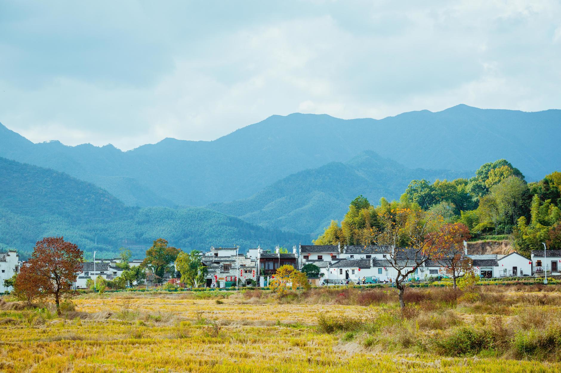 安徽小巷探秘,探寻隐秘美食天堂