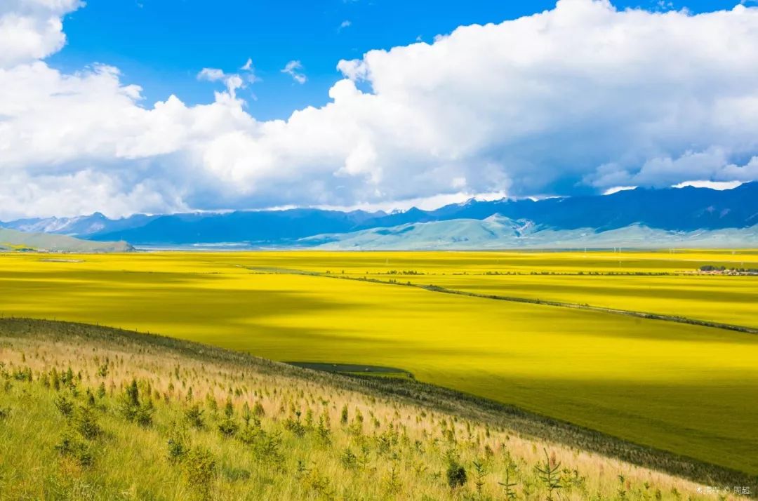 青海,梦想翱翔的蓝天之地